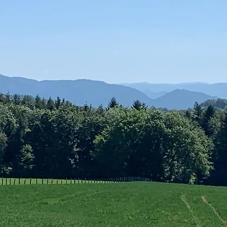 Aux Draps De Foin Bellefontaine (Vosges)